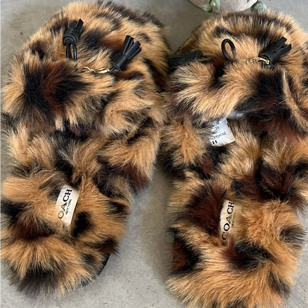 Coach - Picture 2 of 5